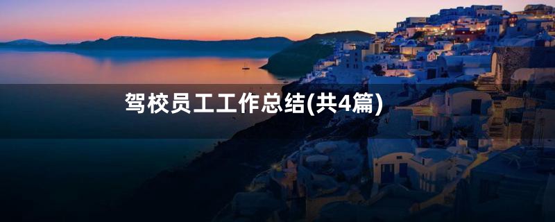 驾校员工工作总结(共4篇)