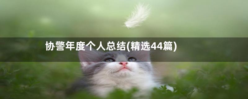 协警年度个人总结(精选44篇)