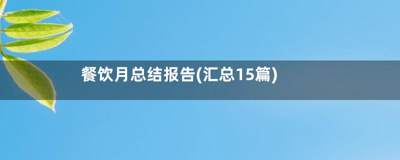 餐饮月总结报告(汇总15篇)