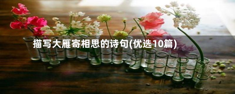 描写大雁寄相思的诗句(优选10篇)