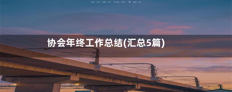 协会年终工作总结(汇总5篇)