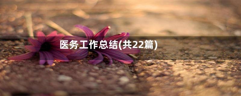 医务工作总结(共22篇)