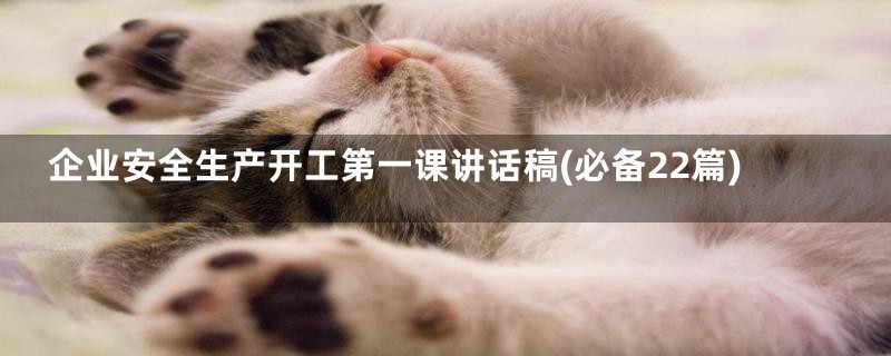 企业安全生产开工第一课讲话稿(必备22篇)