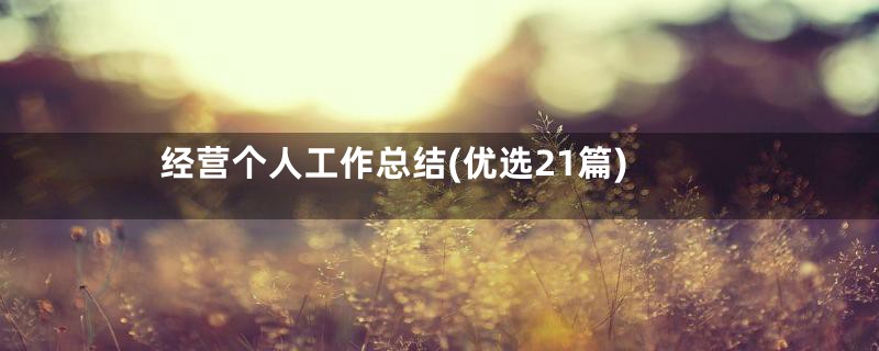 经营个人工作总结(优选21篇)