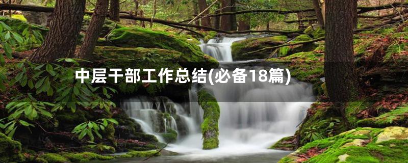 中层干部工作总结(必备18篇)