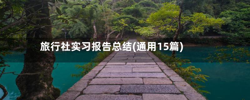 旅行社实习报告总结(通用15篇)