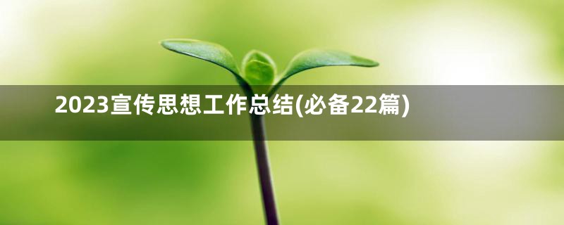 2023宣传思想工作总结(必备22篇)