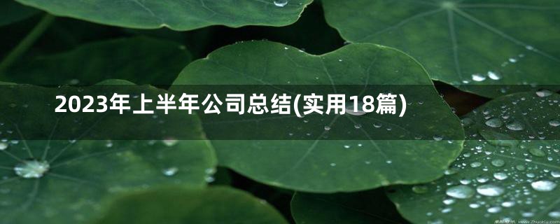 2023年上半年公司总结(实用18篇)