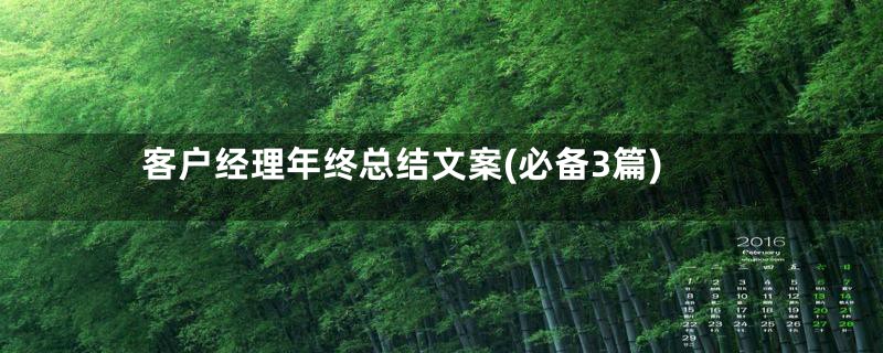 客户经理年终总结文案(必备3篇)