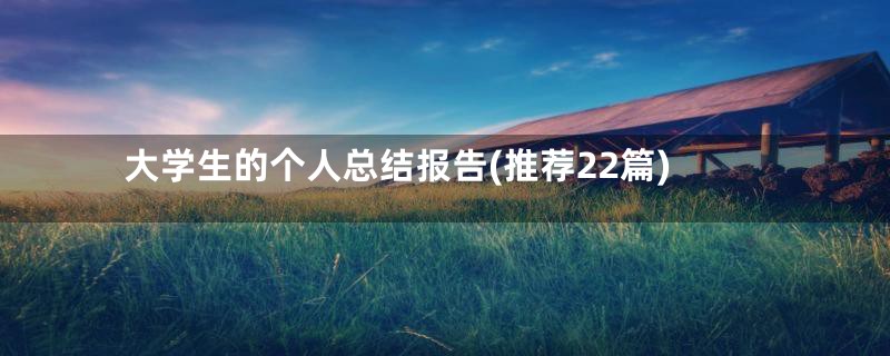 大学生的个人总结报告(推荐22篇)