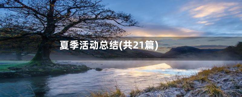 夏季活动总结(共21篇)