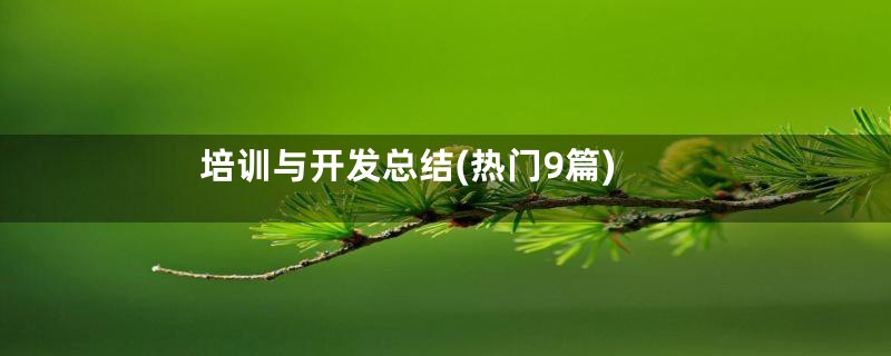 培训与开发总结(热门9篇)
