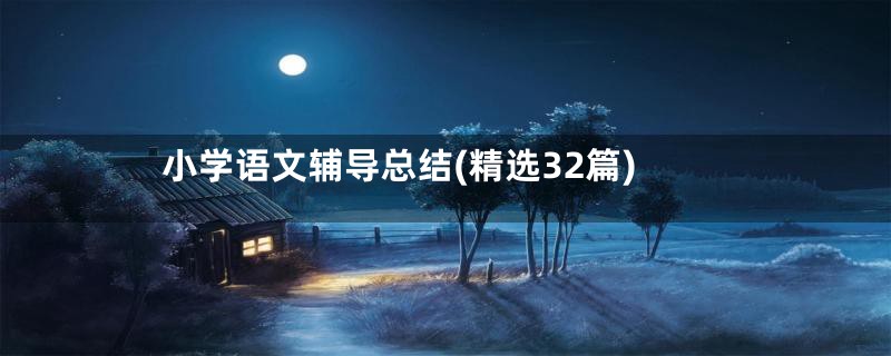 小学语文辅导总结(精选32篇)