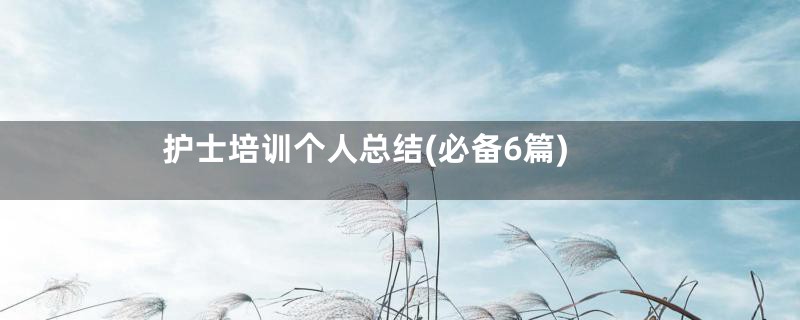 护士培训个人总结(必备6篇)