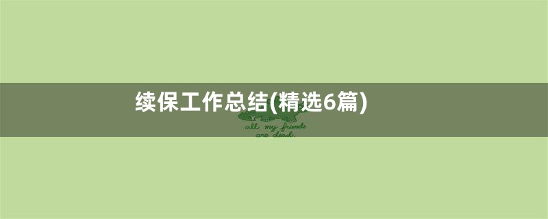 续保工作总结(精选6篇)