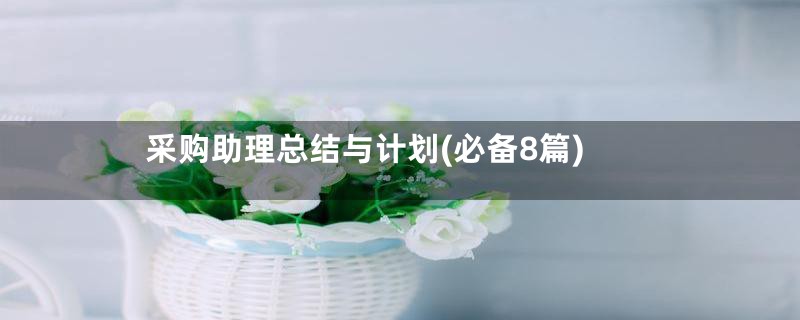 采购助理总结与计划(必备8篇)