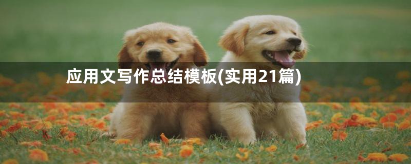 应用文写作总结模板(实用21篇)