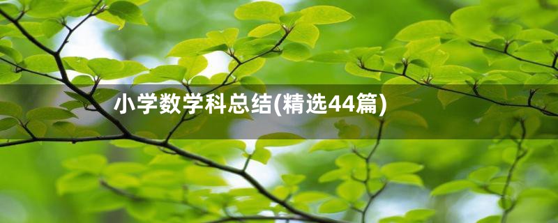 小学数学科总结(精选44篇)