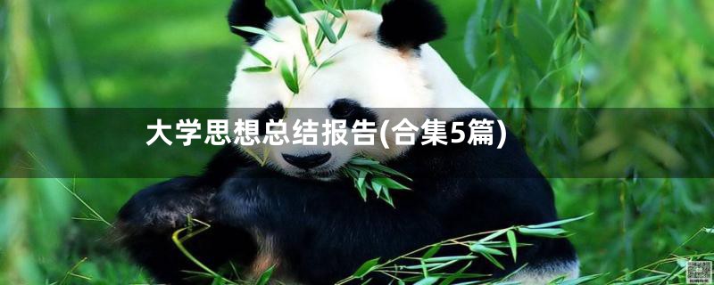 大学思想总结报告(合集5篇)