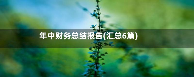 年中财务总结报告(汇总6篇)