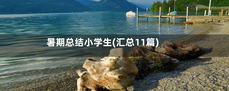 暑期总结小学生(汇总11篇)