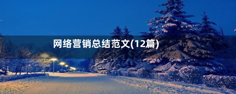 网络营销总结范文(12篇)