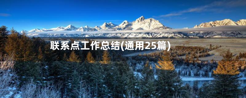 联系点工作总结(通用25篇)
