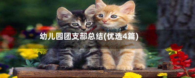 幼儿园团支部总结(优选4篇)