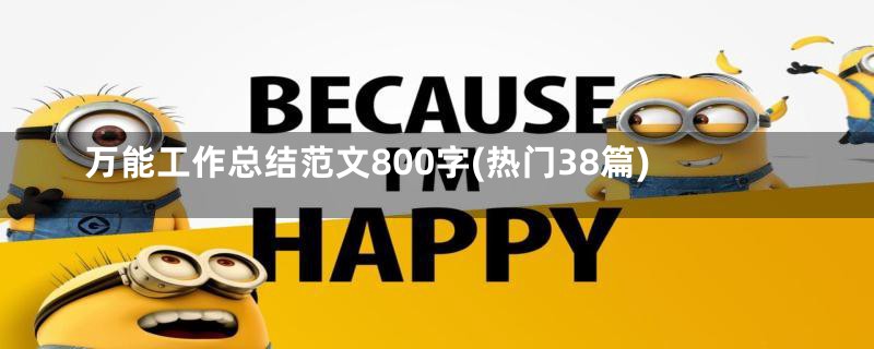 万能工作总结范文800字(热门38篇)