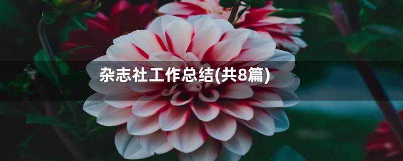 杂志社工作总结(共8篇)