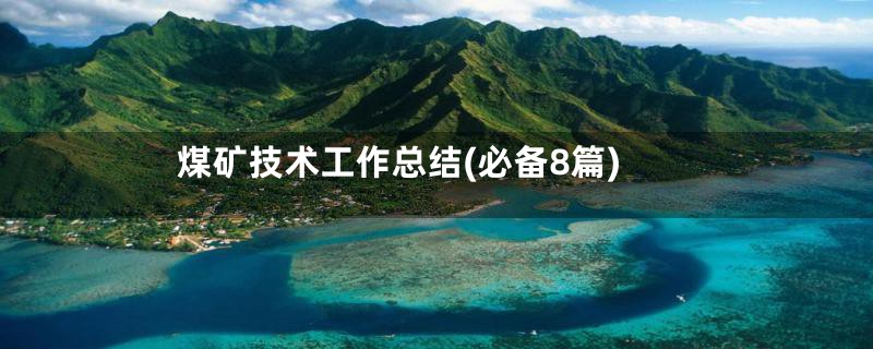 煤矿技术工作总结(必备8篇)