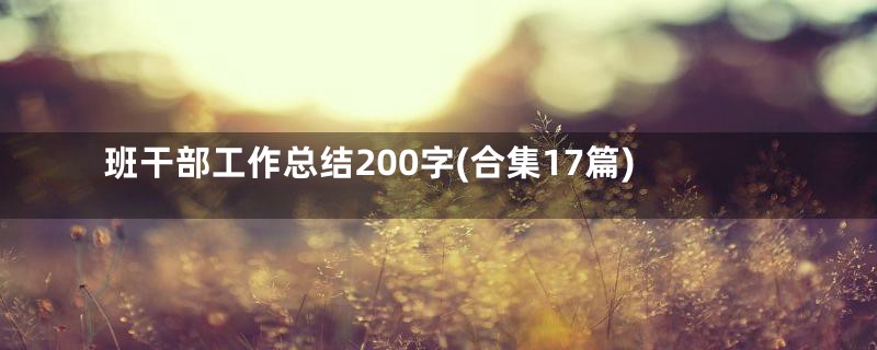 班干部工作总结200字(合集17篇)