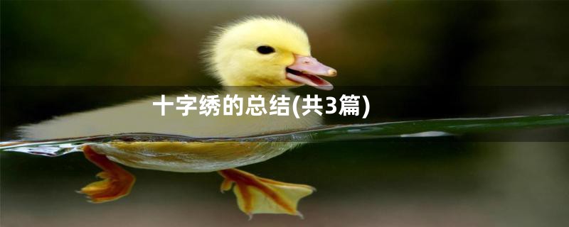 十字绣的总结(共3篇)