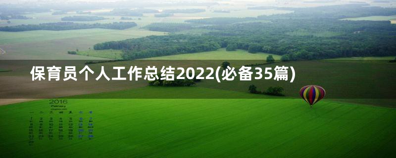 保育员个人工作总结2022(必备35篇)