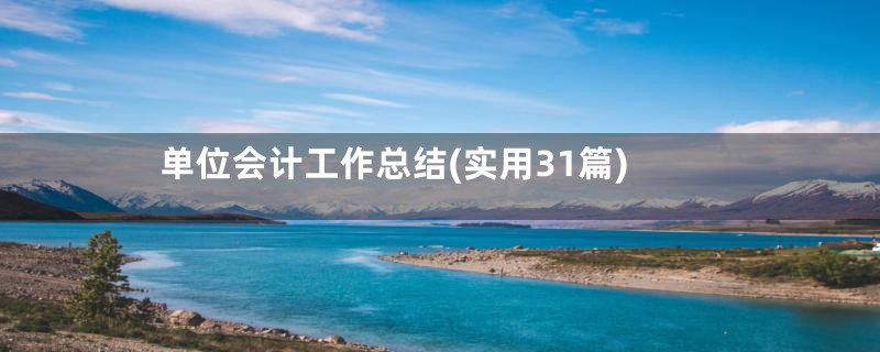 单位会计工作总结(实用31篇)