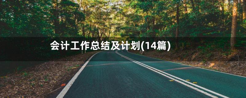 会计工作总结及计划(14篇)