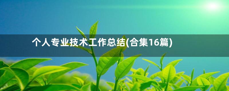 个人专业技术工作总结(合集16篇)
