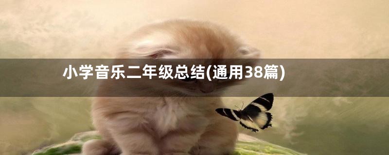 小学音乐二年级总结(通用38篇)