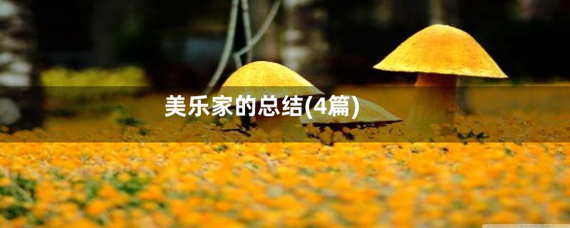 美乐家的总结(4篇)