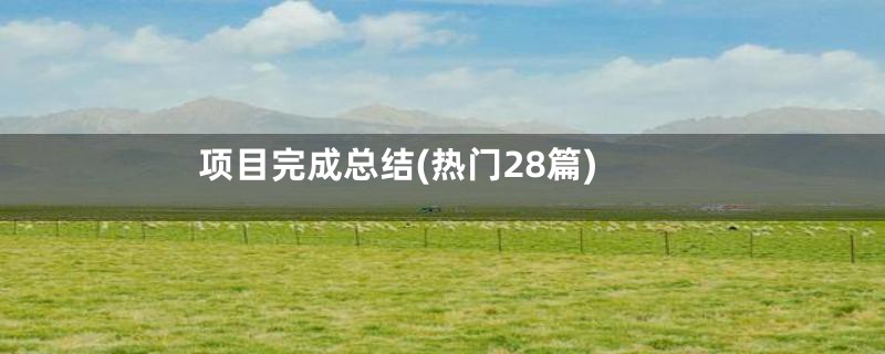 项目完成总结(热门28篇)