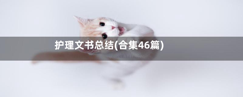 护理文书总结(合集46篇)