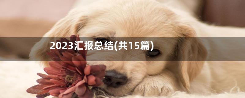 2023汇报总结(共15篇)