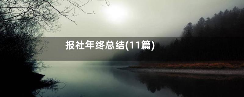 报社年终总结(11篇)