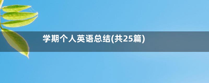 学期个人英语总结(共25篇)
