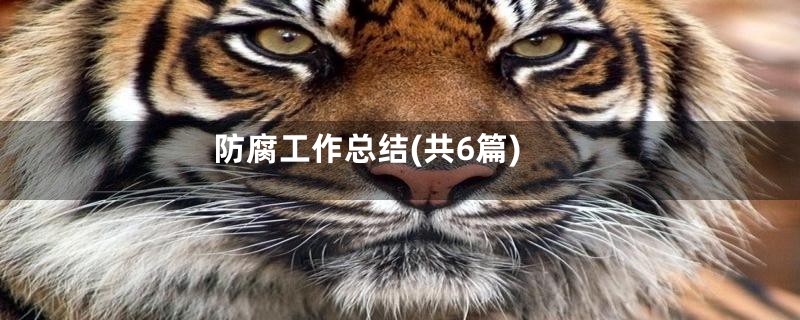 防腐工作总结(共6篇)