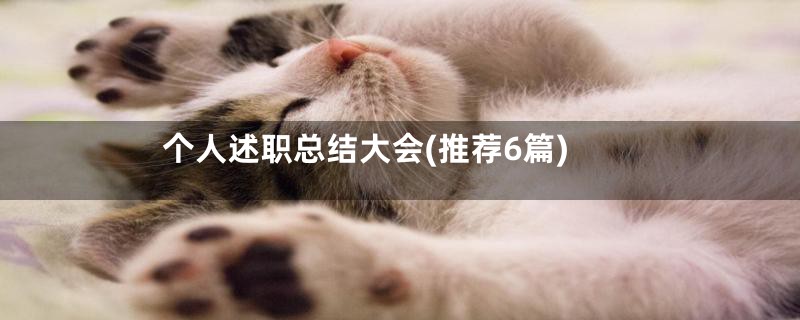 个人述职总结大会(推荐6篇)