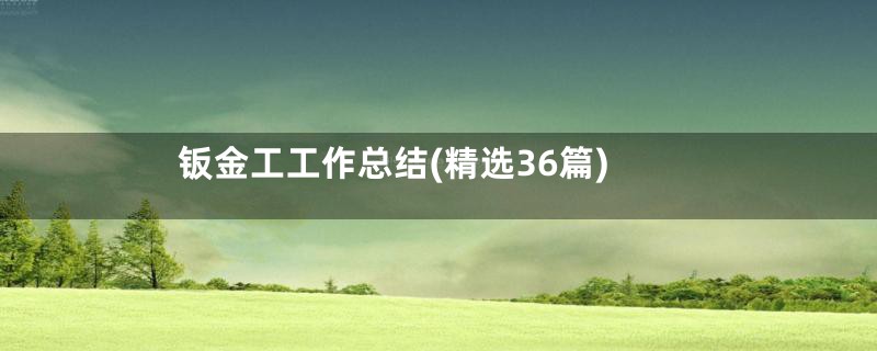 钣金工工作总结(精选36篇)
