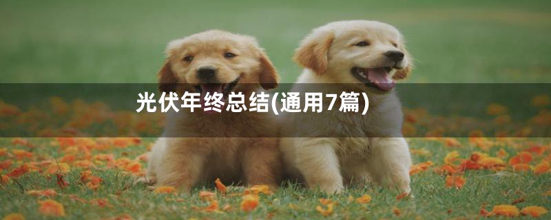 光伏年终总结(通用7篇)