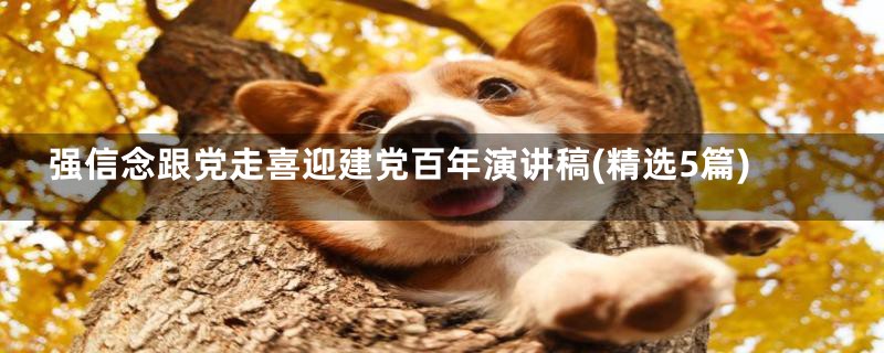 强信念跟党走喜迎建党百年演讲稿(精选5篇)