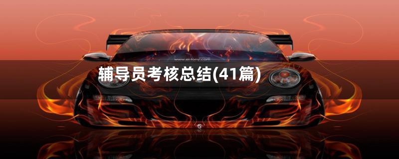 辅导员考核总结(41篇)